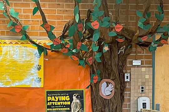 A paper-mache sculpture covered with green leaves and apples signed by the students is near the door in one of our classrooms.