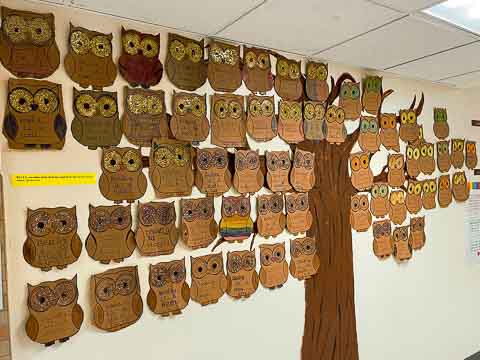 A tree holds a flock of owls made of paper and decorated by students.